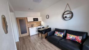 Rezidence pod zámkem Mikulov - apartmán 205 B